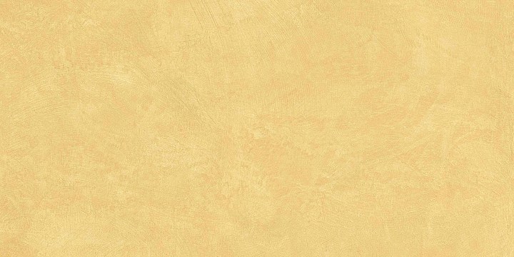 Плитка из керамогранита sr04 60x120х9 непол.рект. (керамический гранит)