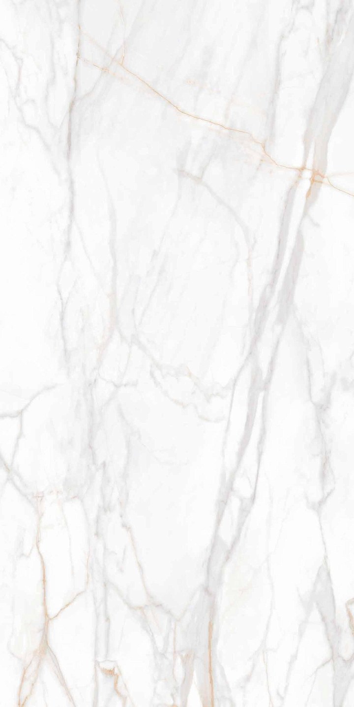 Плитка из керамогранита sm02 80x160x10 непол.рект. (керамический гранит)