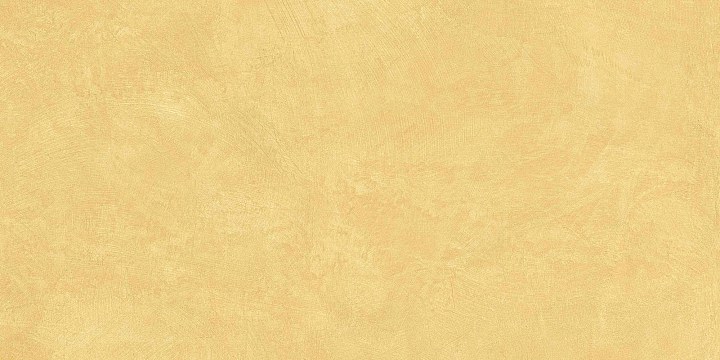Плитка из керамогранита sr04 60x120х10 непол.рект. (керамический гранит)