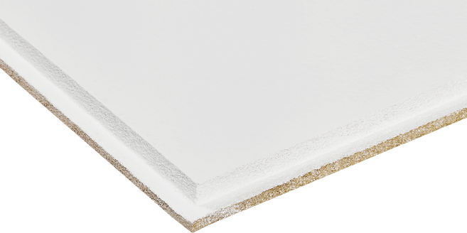 Armstrong Bioguard Plain — 600х600 × Tegular 24 × 15 — KNAUF