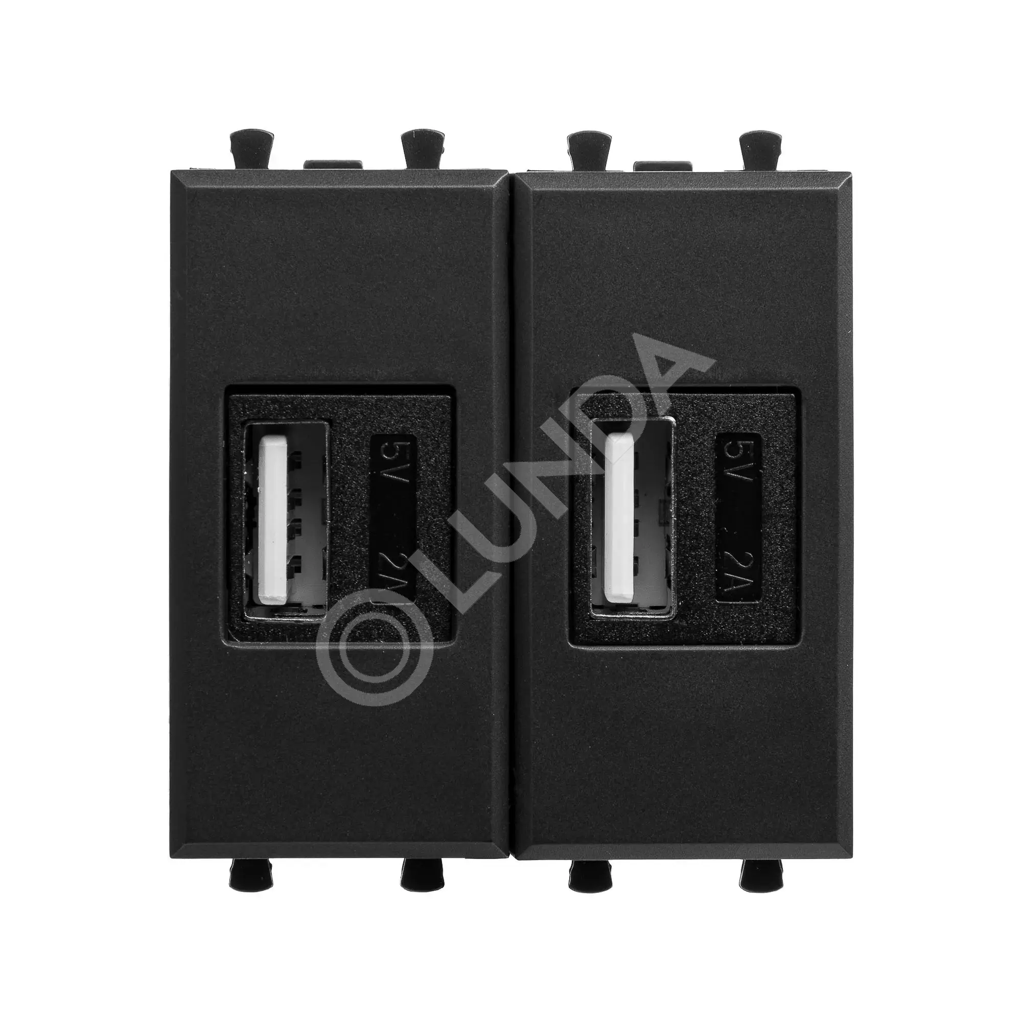 Зарядное устройство USB модульное, Avanti, Черный матовый, 2 модуля, DKC 4412542