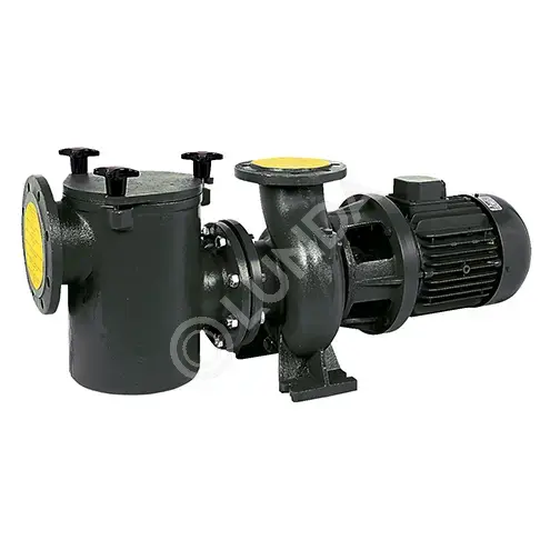 Насос "Saci CF-4 750", 124 м3/ч, 5.5 кВт (P2), 400/690В, Saci Pumps 27105217