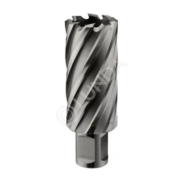 Кольцевая фреза HSS 25x55, Rotorica RT.4215025