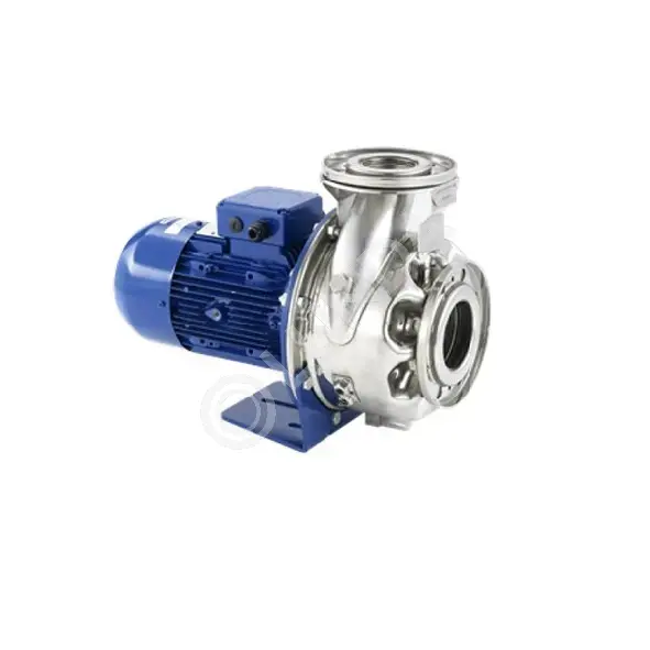Насос ESHS 65-160/110A/P25VSNA, Lowara 101861570