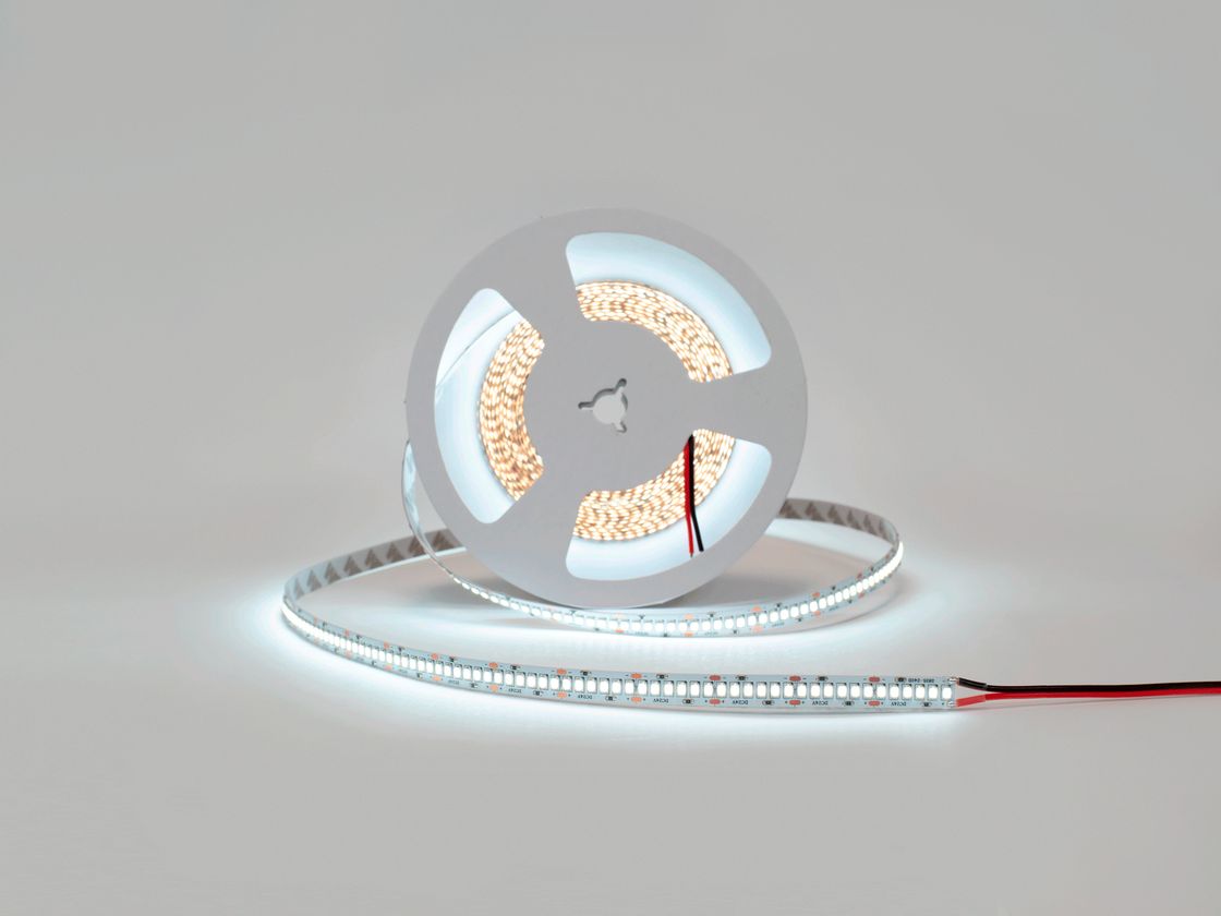 Светодиодная лента SWG Standard, 2835, 240 LED/м, 20 Вт/м, 24В , IP20, Цвет: Холодный белый, SWG2240-24-20-W-M