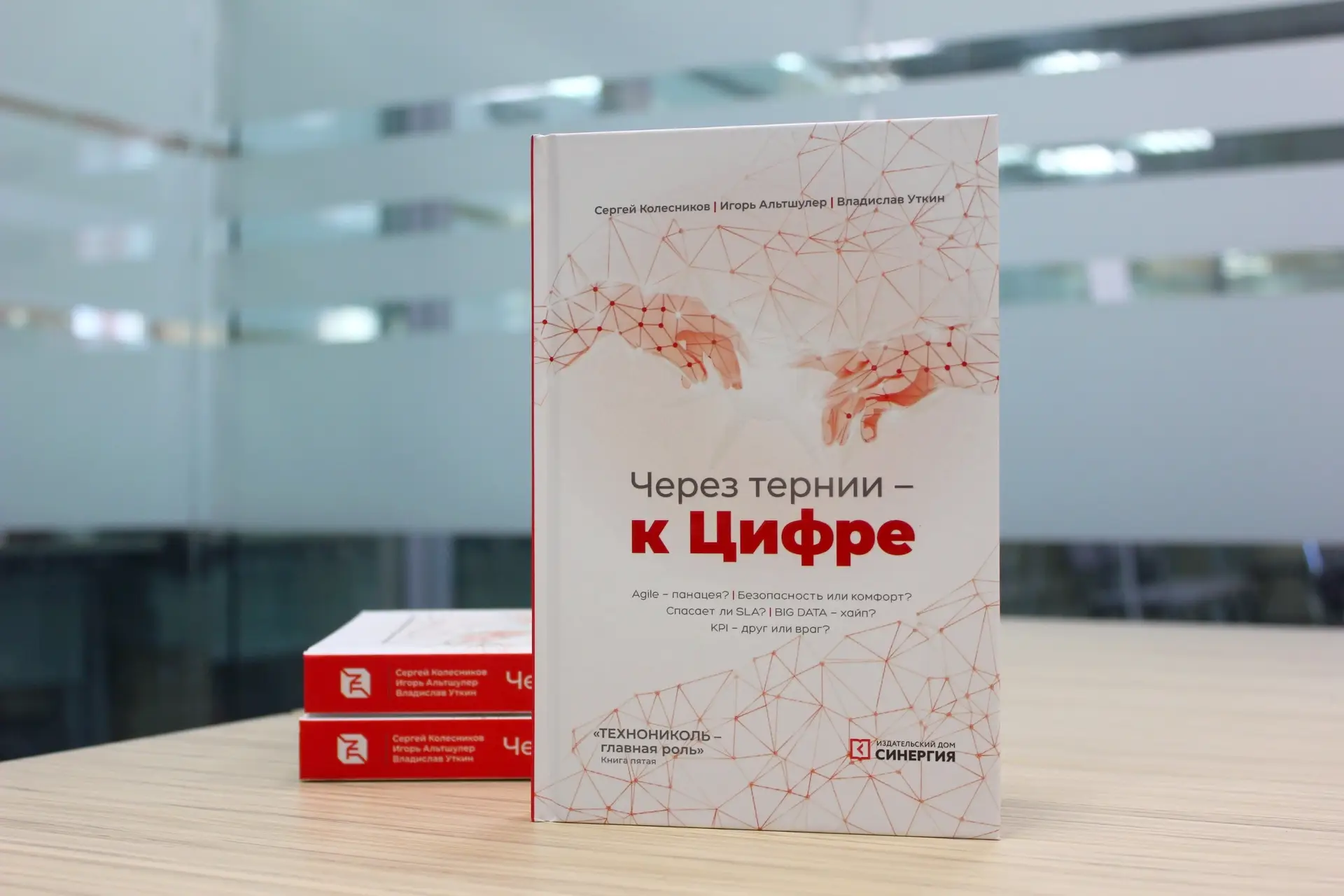 Книга «Через тернии – к Цифре»